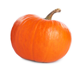 One whole ripe pumpkin isolated on white