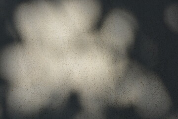 Construction and renovation work, plastering load-bearing street walls in sunlight. The white walls are coated with rough street primer with long micro-cracks throughout the surface and background.