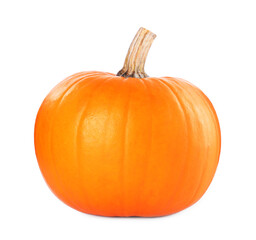 One whole ripe pumpkin isolated on white