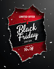 This Black Friday sale image displays a torn paper effect, highlighting a limited discount offer. Shop now and save money.