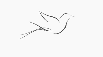 Minimalist line art depicts a delicate bird in flight