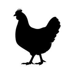 Black hen silhouette with transparent background