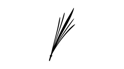 Grasses silhouette with transparent background