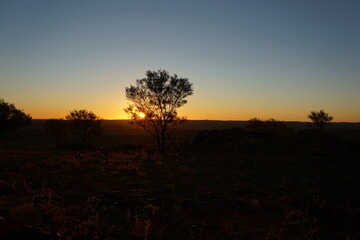 A glowing outback sunset is seen through the branches of a desert tree in far western Australia. The rich earth tones, silhouetted limbs, and warm fading light capture the stark beauty and peaceful.