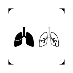 Human lungs anatomy with transparent background