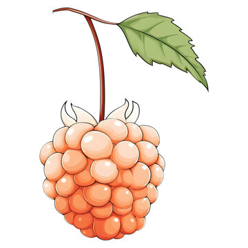 Illust n of a ripe peach colored raspberry with green leaves and stem on a light grid background