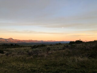 pastel views