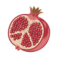 Stylized Pomegranate Fruit Cut in Half - Vector Illustration
