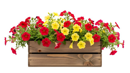 Colorful Petunia Flowers in Wooden Box Bright Yellow and Red Blooming in Garden Setting