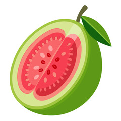 vector illustration of a guava