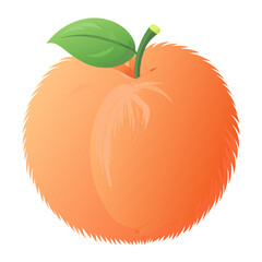 vector illustration of an orange