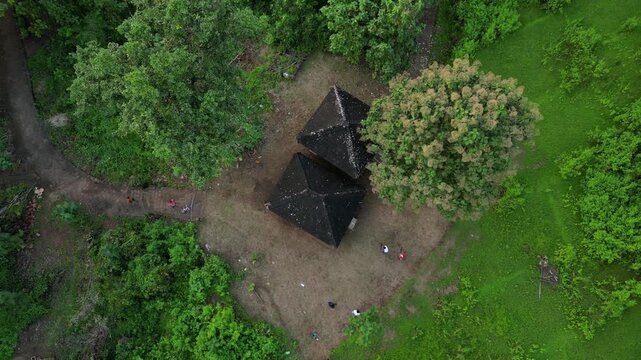 Drone coming down shot focused on mango tree having flower on