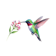 Vibrant hummingbird watercolor illustration gracefully feeding on delicate pink flowers, bringing a touch of nature's beauty and serenity to any project.