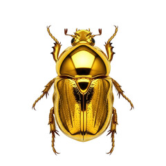 Stunning golden beetle with intricate details gleaming brightly, perfect for luxury brands, unique designs, and attention-grabbing creative projects