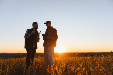 Farmers discussing harvest using tablet in soybean field