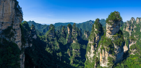 Fototapeta premium Majestic Zhangjiajie national forest park: towering sandstone pillars emerging from lush green forest, Wulingyuan Scenic Area, Hunan Province, China.