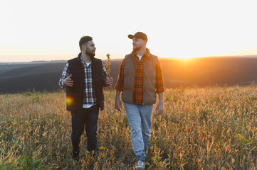 Farmers inspecting soybean crop at sunset