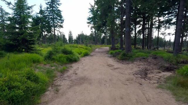 Hiking between Barania Gora and Wierch Wiselka hills in Beskid Slaski mountains in Poland during summer