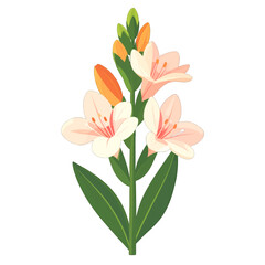 Floral Vector Illustration of Light Pink Flowers with Orange Buds and Green Leaves on a White Background