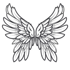 Obraz premium White Angel Wings Illustration Detailed Feather Outlines Vector Art on White Background