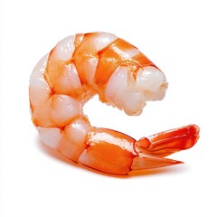 Single Cooked Shrimp on White Background Detailed Close Up of Orange
