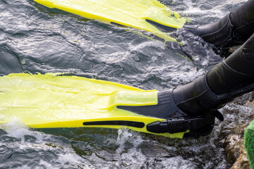 Swimmer wearing bright flippers prepares to enter the water at a rocky shoreline during a sunny day