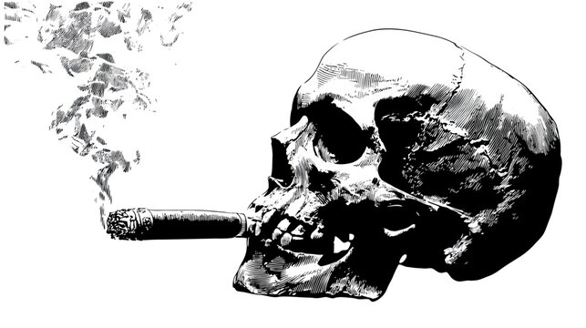 Detailed sketch of a skull smoking a cigar with wisps of smoke