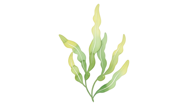 Green Leafy Plant with Curved Light Green Leaves on Transparent Background