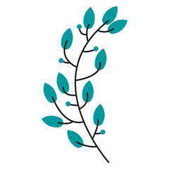 Teal Floral Branch With Small Blue Berries Isolated On Transparent Background Nature Element