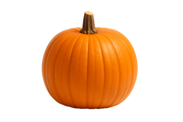 Perfectly round and textured raw bright orange pumpkin ready for carving a classic autumnal symbol for your halloween designs isolated on transparent background