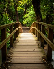 Wooden bridge arches over a stream, leading into a forest with lush green trees