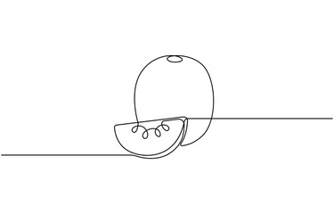 Continuous one line drawing of a Kiwi Fruit with slice minimalist Vector illustration.