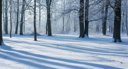 Obraz premium Snowy Forest with Tall Bare Trees and Ground Covered in White Snow