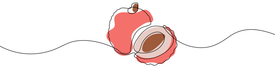 Lychee in one line art style. Drawing of a whole lychee and its cut half with a seed, with editable black stroke and color on white background. Vector illustration.