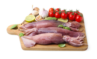 Fresh raw squids, tomatoes, lime and spices isolated on white
