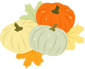 Three pumpkins of different colors on maple autumn leaves. Vector illustration with transparent background.