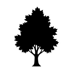 Fototapeta premium Black Tree Silhouette Icon Nature Plant Foliage Graphic Isolated Forest Symbol for Environment Growth and Outdoor Designs vector illustration