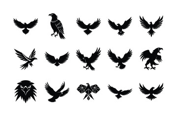 Obraz premium black wings set