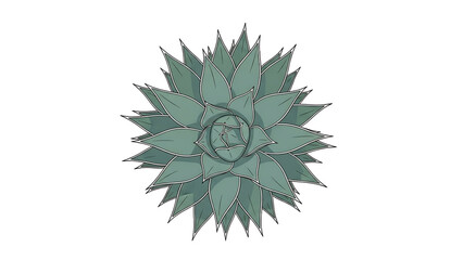 Obraz premium Abstract Green Succulent Plant Illustration on Transparent Background