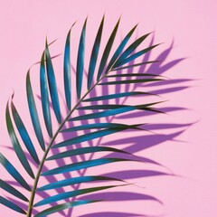 Palm leaf against pink background