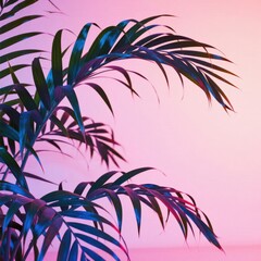 Palm leaves under pink and blue lighting