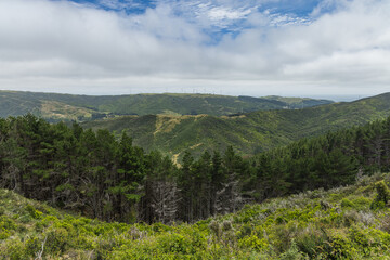 ニュージーランド　ウェリントンのスカイライン・ウォークウェイからの風景