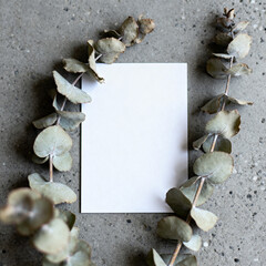 White card framed by eucalyptus branches