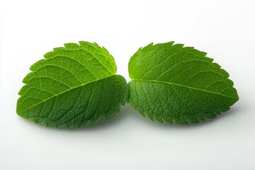 Fresh mint leaves offer a vibrant burst of flavor for culinary creations, adding a touch of summer freshness to your beverages and dishes