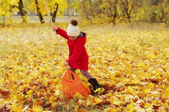 A young child in a red coat enjoys raking golden leaves in a vibrant park, creating a fun experience on a bright autumn day