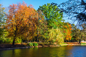 Golden autumn trees reflect in a calm park lake under clear blue sky, blending late summer greens with vibrant seasonal hues. Stone embankment and lush shoreline add peaceful structure to the scene