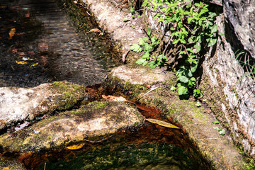 Clear, fresh spring water flowing into an old rustic stone trough in a sunny, quiet forest setting.