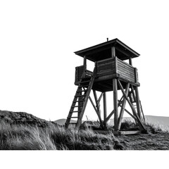  Observation Tower Perched High: A monochrome image presents a solitary wooden observation tower, a ladder 