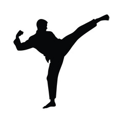 silhouette of a martial artist kicking full body
