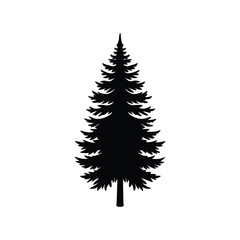 silhouette of a pine tree isolated on a white background
